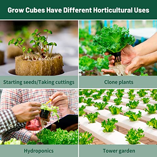 Jowlawn 1.5" Rockwool Cubes for Hydroponics - 2 Sheets Rockwool Grow Cubes for Rooting, Cuttings, Clone Plants, Starting Seeds, Ideal Rockwool for Hydroponic Growing (98 Plugs in Total) 7 Jowlawn 1.5" Rockwool Cubes for Hydroponics - 2 Sheets Rockwool Grow Cubes for Rooting, Cuttings, Clone Plants, Starting Seeds, Ideal Rockwool for Hydroponic Growing (98 Plugs in Total) - Image 7