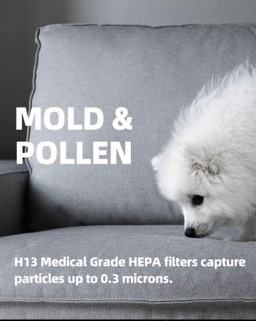 Hejiko Air Purifiers for Home Large Room,1200 sq ft, 5 Stage Filtration System, H13 True HEPA with Washable Filter, Remove 99.97% Allergens, Dust, Pet Hair, Pollen, Smoke, Air Quality Sensor, 20dB 18 hepa air purifier large room