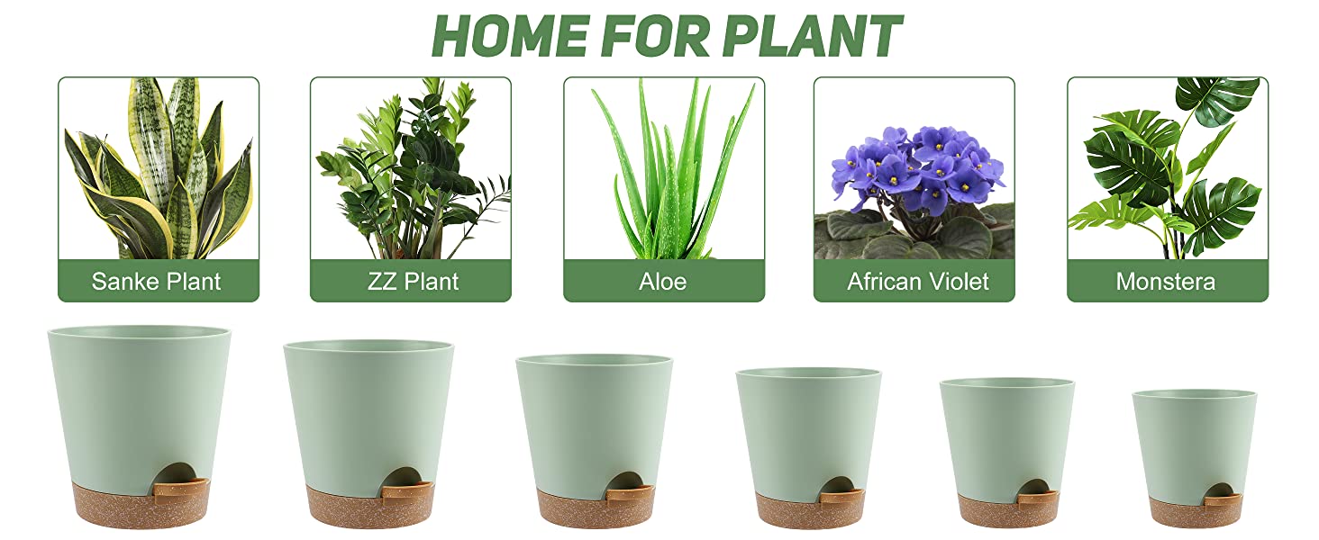 YNNICO Plant Pots Indoor 8/7/6.5/6/5.5/5 Inch Self Watering Planters with Drainage Holes and Saucers, Plastic Flower Pots, Nursery Planting Pot for Indoor Out Door Plants 15 plant pots