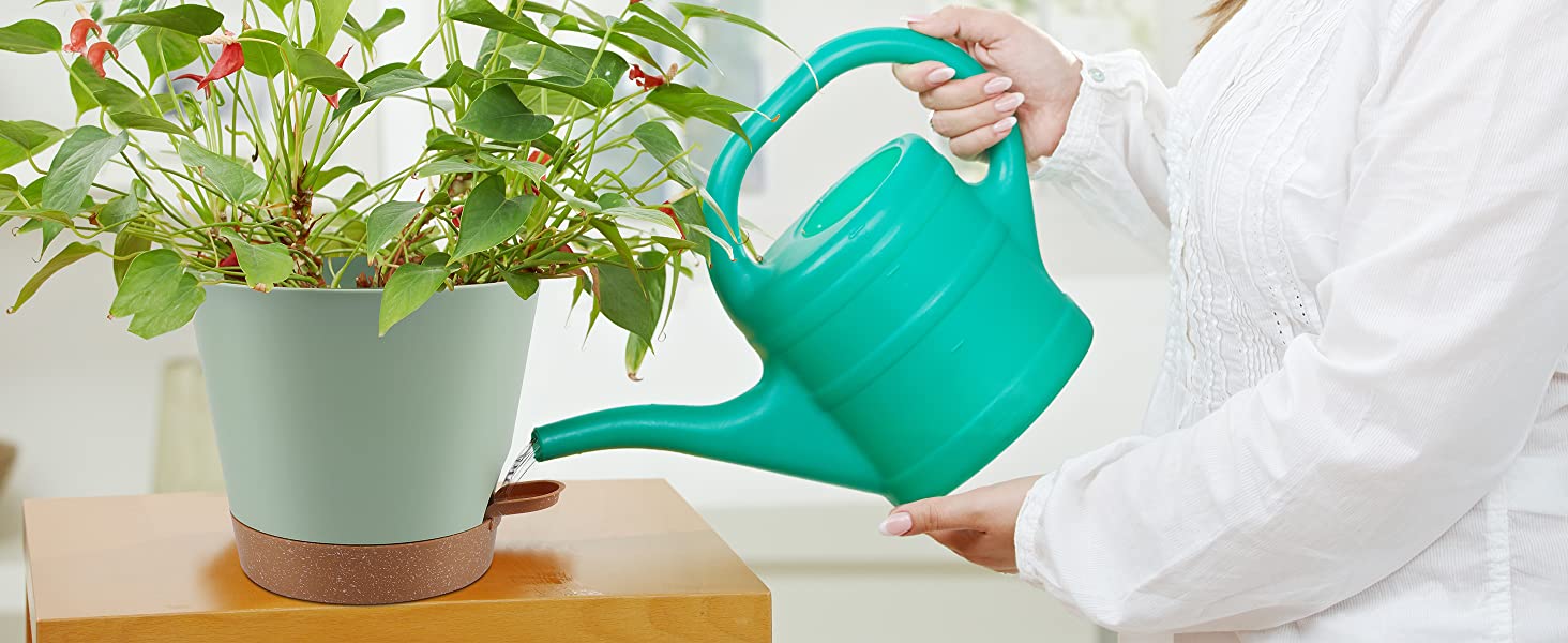 YNNICO Plant Pots Indoor 8/7/6.5/6/5.5/5 Inch Self Watering Planters with Drainage Holes and Saucers, Plastic Flower Pots, Nursery Planting Pot for Indoor Out Door Plants 19 plant pots