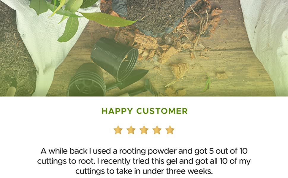 Rooting Gel for Cuttings – IBA Rooting Hormone - Cloning Gel for Strong Clones - Key to Plant Cloning - Midas Products Rooting Gel Hormone for Cuttings 4oz - for Professional and Home Based Growers 13 rootng hormone get for cuttings cloning gel for clippings growing products