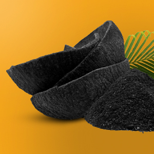 Gorilla Carbon Filter - Strongest, Longest Lasting Charcoal, for Inline Duct Fan, Odor Control, Hydroponics, Grow Tents and Rooms - 6-Inch 14 Gorilla Grow Tent Coconut Carbon Filter Sustainably Sourced
