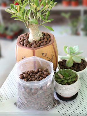 Toypopor 7qt Hydroponic Clay Pebbles, 8mm-12mm, Natural Organic Expanded Grow Media for Hydroponics, Drainage, Decoration, Aquaponics and Other Gardening Essentials 11 caly pebbles