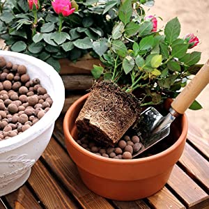 Toypopor 7qt Hydroponic Clay Pebbles, 8mm-12mm, Natural Organic Expanded Grow Media for Hydroponics, Drainage, Decoration, Aquaponics and Other Gardening Essentials 19 caly pebbles