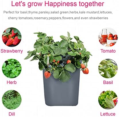 Lawnful 2 Hydroponic Buckets Kit for Plants, Hydroponics Growing System for Herbs/Tomato/Vegetables, DWC System with Air Pump & Germination Tray (Complete Indoor Hydroponic Gardening Supplies) 5 Lawnful 2 Hydroponic Buckets Kit for Plants, Hydroponics Growing System for Herbs/Tomato/Vegetables, DWC System with Air Pump & Germination Tray (Complete Indoor Hydroponic Gardening Supplies) - Image 5