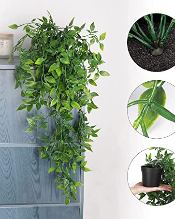 Whonline 20pcs 6.6 Inch Plastic Flowers Pots for Plants, with Drainage Holes and Saucers for Indoor Plants, Outdoor Clearance, Seeding Nursery, Succulents 13 Whonline