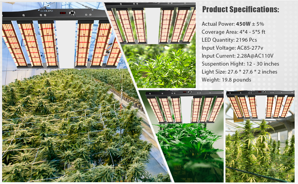 Sonlipo SPC4500 LED Grow Light 450W, 5x5 ft Coverage with 2196 LEDs Sunlike Full Spectrum with UV & IR, Dimmable Daisy Chain Timer Veg & Bloom Grow Lamp Hydroponic Indoor Plants Seeding Flower 22 VIVOSUN Growing Lamps Full Spectrum MARS HYDRO Grow Light Greenhouse LED Grow Light 2x2ft