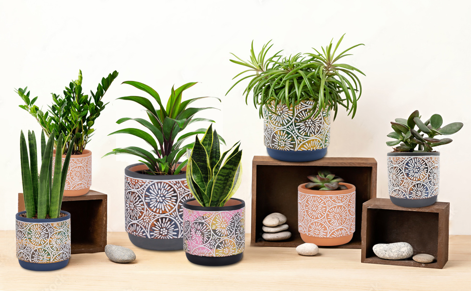 DeeCoo 3 Piece Ceramic Plant pots Indoor Pots Set with Drainage Holes, 5.7/4.7/3.5/inch, Modern Decorative pots Outdoor Plants Lilies, Cacti, Succulents, Snakes, and Bamboo (Blue) 11 1