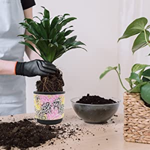 DeeCoo 3 Piece Ceramic Plant pots Indoor Pots Set with Drainage Holes, 5.7/4.7/3.5/inch, Modern Decorative pots Outdoor Plants Lilies, Cacti, Succulents, Snakes, and Bamboo (Blue) 19 1