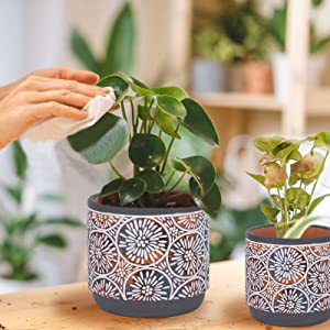 DeeCoo 3 Piece Ceramic Plant pots Indoor Pots Set with Drainage Holes, 5.7/4.7/3.5/inch, Modern Decorative pots Outdoor Plants Lilies, Cacti, Succulents, Snakes, and Bamboo (Blue) 17 1