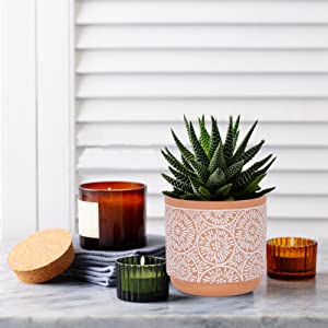 DeeCoo 3 Piece Ceramic Plant pots Indoor Pots Set with Drainage Holes, 5.7/4.7/3.5/inch, Modern Decorative pots Outdoor Plants Lilies, Cacti, Succulents, Snakes, and Bamboo (Blue) 15 1
