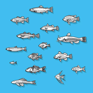 Beginner's Guide to Aquaponics: Step-by-Step Systems for Plants and Fish 9 Aquaponics, aquaponics for beginners, aquaponics books, aquaponics gardening, hydroponics