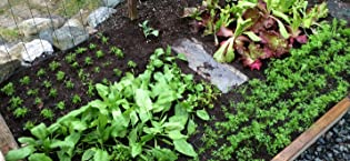 Seeding Square – Seed Sowing Template for Maximum Harvest - Square Foot Gardening Tool Kit – Includes: Color Coded Seed Spacer & Magnetic Seed Dibber/Seed Ruler/Seed Spoon & Vegetable Planting Guide 21 Seeding Square, vegetable garden, seed spacer, seed sowing template, square foot gardening, garden