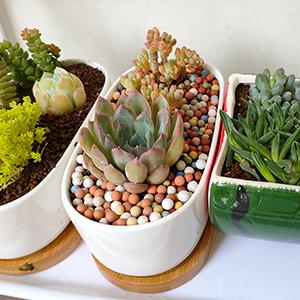 wohohoho 2.2lbs Mini Hydroponics Clay Pebbles Balls, Upgraded 3mm-5mm Grey Hydro Ceramsite, Horticultural Plant Top-Dressing Decorative Rocks for Aquaponics, Drainage Water, Purification, Cultivation 18 multi color lava rocks