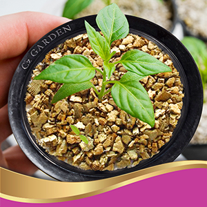 Organic Coarse Vermiculite - Made in USA for All Indoor/Outdoor Plants & Organic Gardens - Horticultural Soil Amendment Additive Conditioner Grow Media for Hydroponics, Mushroom Cultivation and more! 16 verm cz pots