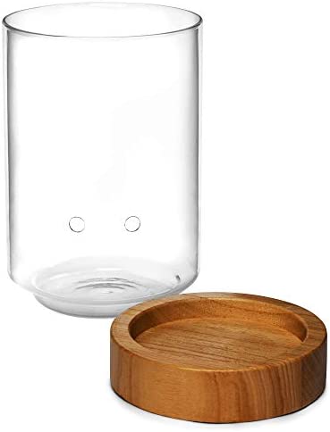 Pot & Pebble Glass Indoor Planter with Wooden Base & Water Level Control: Transparent for Root Visibility (Suitable for Semi-Hydroponic or General Use) Easier Plant Care, Less Watering & More Growth! 3 Pot & Pebble Glass Indoor Planter with Wooden Base & Water Level Control: Transparent for Root Visibility (Suitable for Semi-Hydroponic or General Use) Easier Plant Care, Less Watering & More Growth! - Image 3