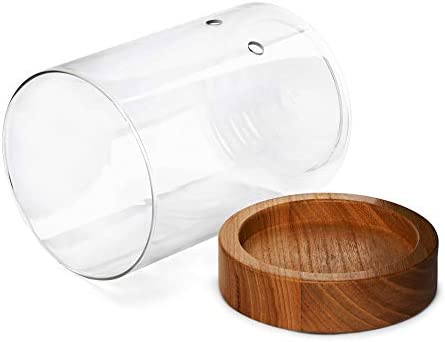 Pot & Pebble Glass Indoor Planter with Wooden Base & Water Level Control: Transparent for Root Visibility (Suitable for Semi-Hydroponic or General Use) Easier Plant Care, Less Watering & More Growth! 4 Pot & Pebble Glass Indoor Planter with Wooden Base & Water Level Control: Transparent for Root Visibility (Suitable for Semi-Hydroponic or General Use) Easier Plant Care, Less Watering & More Growth! - Image 4