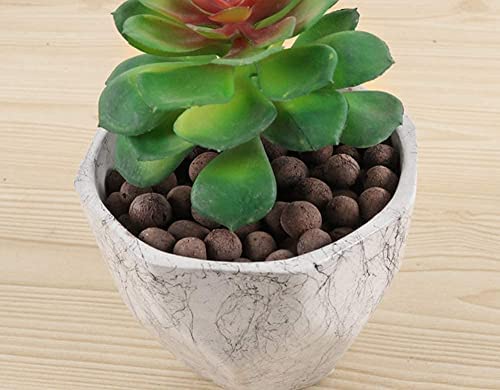 Expanded Clay Pebbles Hydroponic Rocks Organic Ceramsite Grow Media for Horticultural,Orchids,Drainage, Decor Cultivation (0.3-0.5in, 12 LBS) 7 Expanded Clay Pebbles Hydroponic Rocks Organic Ceramsite Grow Media for Horticultural,Orchids,Drainage, Decor Cultivation (0.3-0.5in, 12 LBS) - Image 7