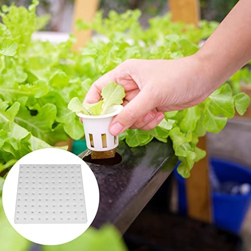 XIDAJIE 400 Pcs Hydroponic Sponges Planting Gardening Tool Soilless Cultivation Seedling Sponges Cultivation Sponge Greenhouse for Small Bud Growth & Grow Seedlings 5 XIDAJIE 400 Pcs Hydroponic Sponges Planting Gardening Tool Soilless Cultivation Seedling Sponges Cultivation Sponge Greenhouse for Small Bud Growth & Grow Seedlings - Image 5