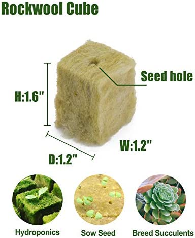 BIOMAND 1.2” Rockwool Starter Plugs for Hydroponics, Rockwool Grow Cubes, 3 Sheets of 36 Plugs, 108 Plugs Total 2 BIOMAND 1.2” Rockwool Starter Plugs for Hydroponics, Rockwool Grow Cubes, 3 Sheets of 36 Plugs, 108 Plugs Total - Image 2