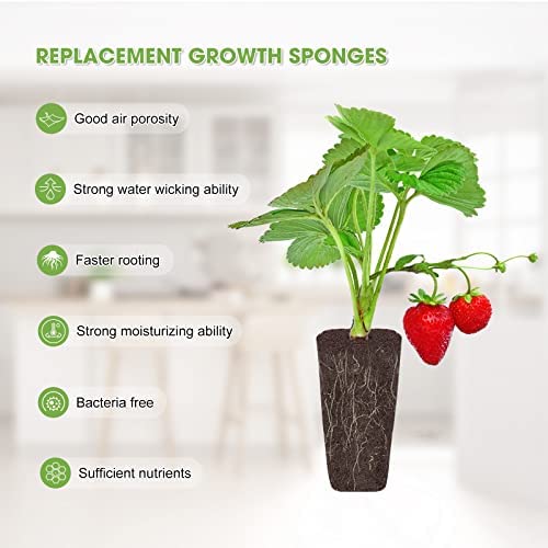 60 Pack Replacement Grow Sponges, Seed Pod Kit Seed Starter Pods Hydroponics Sponges Grow Sponges for Hydroponics Root Growth Sponges Refill Pods for Hydroponic Growing System Indoor Garden, Square 2 60 Pack Replacement Grow Sponges, Seed Pod Kit Seed Starter Pods Hydroponics Sponges Grow Sponges for Hydroponics Root Growth Sponges Refill Pods for Hydroponic Growing System Indoor Garden, Square - Image 2