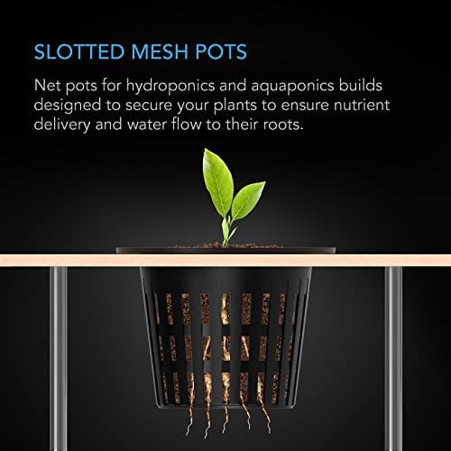 AC Infinity Net Cups 3-Inch, Heavy Duty Garden Slotted Net Pots with Wide Lip Rims, 25-Pack Black Bucket Basket for Indoor Outdoor Growing, Orchids, Aquaponics, Hydroponics 2 AC Infinity Net Cups 3-Inch, Heavy Duty Garden Slotted Net Pots with Wide Lip Rims, 25-Pack Black Bucket Basket for Indoor Outdoor Growing, Orchids, Aquaponics, Hydroponics - Image 2