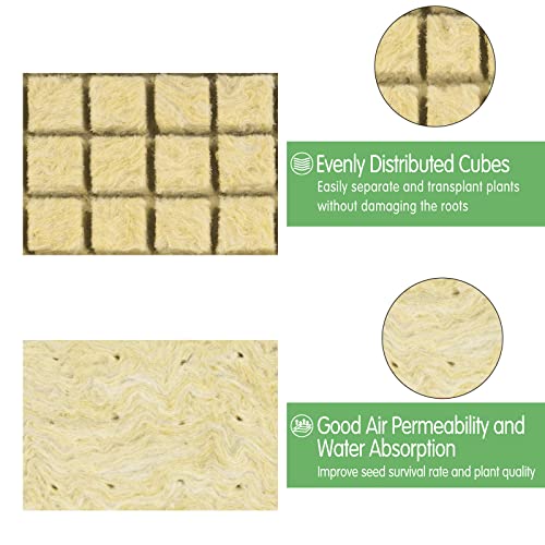 CastleGreens 1inch Rockwool Grow Cubes, Starter Plugs for Plant Growing, Great for Rooting, Cuttings, Clone Plants, Germination Start Seeds, Ideal Hydroponic Grow Media(4 Sheets, 200 Cubes Total) 7 CastleGreens 1inch Rockwool Grow Cubes, Starter Plugs for Plant Growing, Great for Rooting, Cuttings, Clone Plants, Germination Start Seeds, Ideal Hydroponic Grow Media(4 Sheets, 200 Cubes Total) - Image 7
