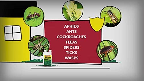 Compare-N-Save Concentrate Indoor and Outdoor Insect Control, 32-Ounce 3 Compare-N-Save Concentrate Indoor and Outdoor Insect Control, 32-Ounce - Image 3