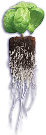 General Hydroponics Rapid Rooter, Starter Plug for Seeds or Cuttings, Great for Soil or Hydroponics Growing System, 50 Plugs 5 General Hydroponics Rapid Rooter, Starter Plug for Seeds or Cuttings, Great for Soil or Hydroponics Growing System, 50 Plugs - Image 5