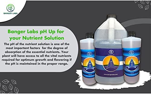 Banger Labs Premium pH Up Solution 2 Banger Labs Premium pH Up Solution - Image 2