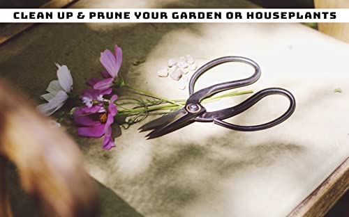 Skyhaven Harvest Pruning Scissors, Traditional Higurashi Japanese-style Bonsai shears for indoor outdoor gardening. A versatile tool for use around the kitchen, house and garden 3 Skyhaven Harvest Pruning Scissors, Traditional Higurashi Japanese-style Bonsai shears for indoor outdoor gardening. A versatile tool for use around the kitchen, house and garden - Image 3