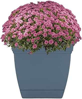The HC Companies 10 Inch Eclipse Square Planter with Saucer - Indoor Outdoor Plant Pot for Flowers, Vegetables, and Herbs, Slate Blue 2 The HC Companies 10 Inch Eclipse Square Planter with Saucer - Indoor Outdoor Plant Pot for Flowers, Vegetables, and Herbs, Slate Blue - Image 2