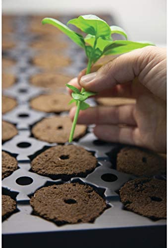 General Hydroponics Rapid Rooter, Starter Plug for Seeds or Cuttings, Great for Soil or Hydroponics Growing System, 50 Plugs 4 General Hydroponics Rapid Rooter, Starter Plug for Seeds or Cuttings, Great for Soil or Hydroponics Growing System, 50 Plugs - Image 4