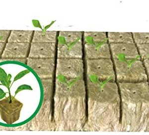 hydroponic rockwool