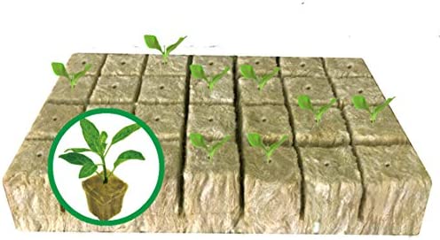 1.5” Rockwool Starter Plugs for Hydroponics 1 hydroponic rockwool