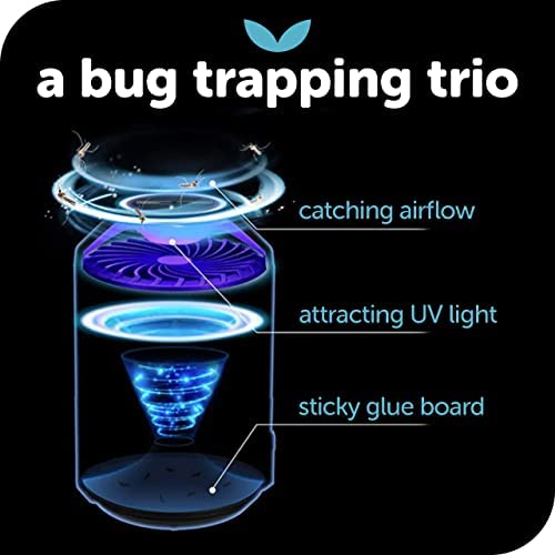 Katchy Indoor Insect Trap - Catcher & Killer for Mosquitos, Gnats, Moths, Fruit Flies - Non-Zapper Traps for Inside Your Home 3 Katchy Indoor Insect Trap - Catcher & Killer for Mosquitos, Gnats, Moths, Fruit Flies - Non-Zapper Traps for Inside Your Home - Image 3