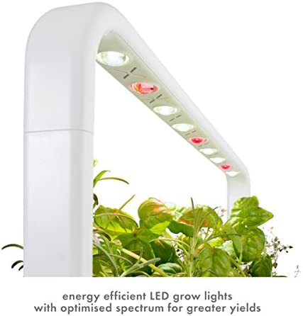 Click & Grow Indoor Herb Garden Kit with Grow Light | Easier Than Hydroponics Growing System | Smart Garden for Home Kitchen Windowsill | Vegetable & Herb Garden Starter Kit with 9 Plant pods, White 3 Click & Grow Indoor Herb Garden Kit with Grow Light | Easier Than Hydroponics Growing System | Smart Garden for Home Kitchen Windowsill | Vegetable & Herb Garden Starter Kit with 9 Plant pods, White - Image 3