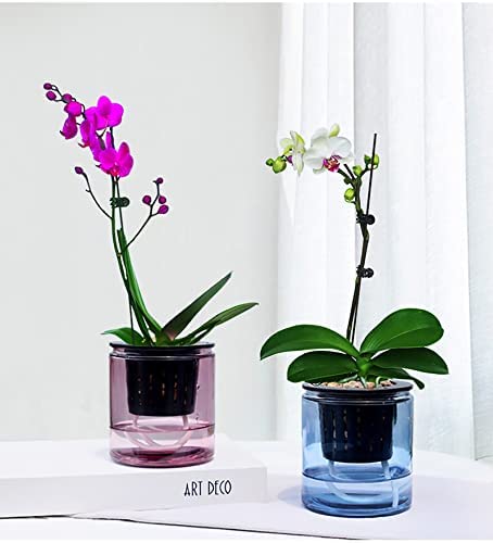 Jucoan 40 Pack 4 Inch Net Pots, Garden Slotted Mesh Net Cups, Plastic Orchids Pot Plant Nursery Basket with Wide Lip for Aquaponics, Hydroponics 6 Jucoan 40 Pack 4 Inch Net Pots, Garden Slotted Mesh Net Cups, Plastic Orchids Pot Plant Nursery Basket with Wide Lip for Aquaponics, Hydroponics - Image 6