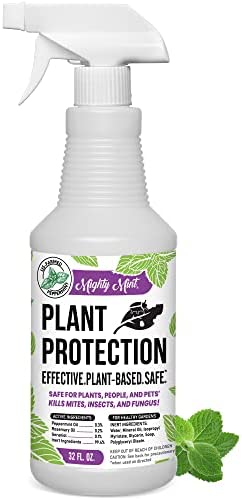 Mighty Mint 32oz Plant Protection Peppermint Spray for Spider Mites, Insects, Fungus, and Disease 1 hydroponic pest control