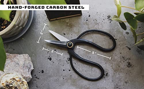 Skyhaven Harvest Pruning Scissors, Traditional Higurashi Japanese-style Bonsai shears for indoor outdoor gardening. A versatile tool for use around the kitchen, house and garden 2 Skyhaven Harvest Pruning Scissors, Traditional Higurashi Japanese-style Bonsai shears for indoor outdoor gardening. A versatile tool for use around the kitchen, house and garden - Image 2