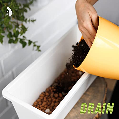 PGN Clay Pebbles for Hydroponic Growing - 10 Liters (4 Pounds) - Organic Expanded Clay Balls for Plants - PH Neutral Leca for Plants - Aquaponics and Hydroponics Supplies in a Resealable Storage Bag 7 PGN Clay Pebbles for Hydroponic Growing - 10 Liters (4 Pounds) - Organic Expanded Clay Balls for Plants - PH Neutral Leca for Plants - Aquaponics and Hydroponics Supplies in a Resealable Storage Bag - Image 7