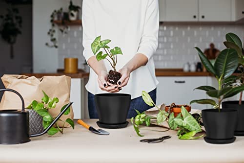 Whonline 20pcs 6.6 Inch Plastic Flowers Pots for Plants, with Drainage Holes and Saucers for Indoor Plants, Outdoor Clearance, Seeding Nursery, Succulents 7 Whonline 20pcs 6.6 Inch Plastic Flowers Pots for Plants, with Drainage Holes and Saucers for Indoor Plants, Outdoor Clearance, Seeding Nursery, Succulents - Image 7