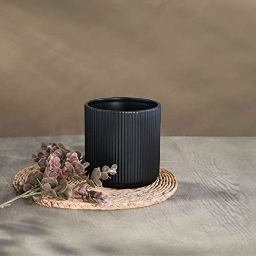Amazon Basics Fluted Ceramic Planter, 8-Inch, Black 6 Amazon Basics Fluted Ceramic Planter, 8-Inch, Black - Image 6