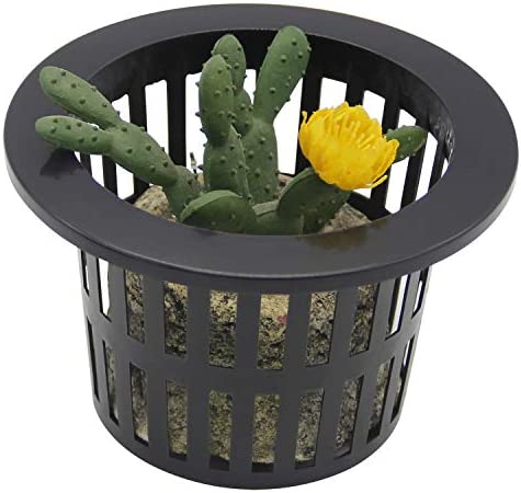 Coolrunner 25 Pack 4 inch Garden Net Cups Pots, Plastic Plant Nursery Pots, Slotted Mesh Wide Lip Round Heavy Duty Net Pot Bucket Basket for Hydroponics(Black) 7 Coolrunner 25 Pack 4 inch Garden Net Cups Pots, Plastic Plant Nursery Pots, Slotted Mesh Wide Lip Round Heavy Duty Net Pot Bucket Basket for Hydroponics(Black) - Image 7