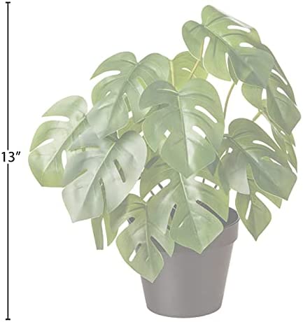 Amazon Basics Artificial Monstera Plant with Plastic Nursery Pot, 13-Inch 3 Amazon Basics Artificial Monstera Plant with Plastic Nursery Pot, 13-Inch - Image 3