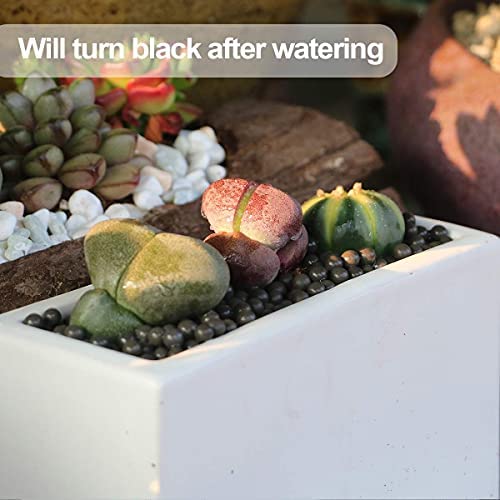 wohohoho 2.2lbs Mini Hydroponics Clay Pebbles Balls, Upgraded 3mm-5mm Grey Hydro Ceramsite, Horticultural Plant Top-Dressing Decorative Rocks for Aquaponics, Drainage Water, Purification, Cultivation 2 wohohoho 2.2lbs Mini Hydroponics Clay Pebbles Balls, Upgraded 3mm-5mm Grey Hydro Ceramsite, Horticultural Plant Top-Dressing Decorative Rocks for Aquaponics, Drainage Water, Purification, Cultivation - Image 2