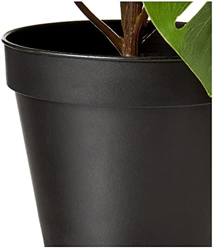 Amazon Basics Artificial Monstera Plant with Plastic Nursery Pot, 13-Inch 2 Amazon Basics Artificial Monstera Plant with Plastic Nursery Pot, 13-Inch - Image 2