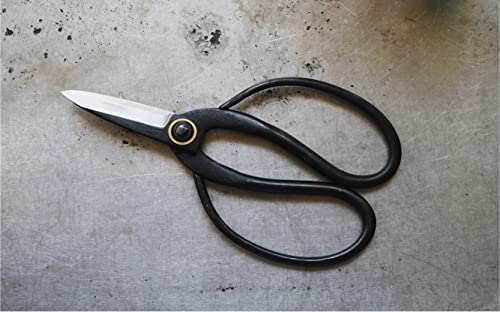 Skyhaven Harvest Pruning Scissors, Traditional Higurashi Japanese-style Bonsai shears for indoor outdoor gardening. A versatile tool for use around the kitchen, house and garden 6 Skyhaven Harvest Pruning Scissors, Traditional Higurashi Japanese-style Bonsai shears for indoor outdoor gardening. A versatile tool for use around the kitchen, house and garden - Image 6
