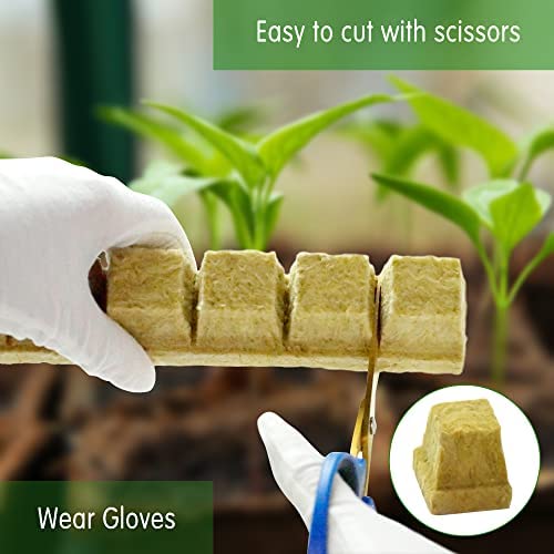 CastleGreens 1inch Rockwool Grow Cubes, Starter Plugs for Plant Growing, Great for Rooting, Cuttings, Clone Plants, Germination Start Seeds, Ideal Hydroponic Grow Media(4 Sheets, 200 Plugs Total) 2 CastleGreens 1inch Rockwool Grow Cubes, Starter Plugs for Plant Growing, Great for Rooting, Cuttings, Clone Plants, Germination Start Seeds, Ideal Hydroponic Grow Media(4 Sheets, 200 Plugs Total) - Image 2