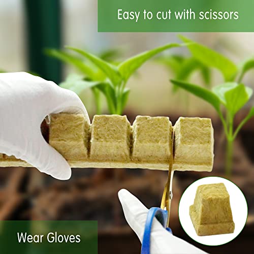 CastleGreens 1inch Rockwool Grow Cubes, Starter Plugs for Plant Growing, Great for Rooting, Cuttings, Clone Plants, Germination Start Seeds, Ideal Hydroponic Grow Media(4 Sheets, 200 Cubes Total) 2 CastleGreens 1inch Rockwool Grow Cubes, Starter Plugs for Plant Growing, Great for Rooting, Cuttings, Clone Plants, Germination Start Seeds, Ideal Hydroponic Grow Media(4 Sheets, 200 Cubes Total) - Image 2